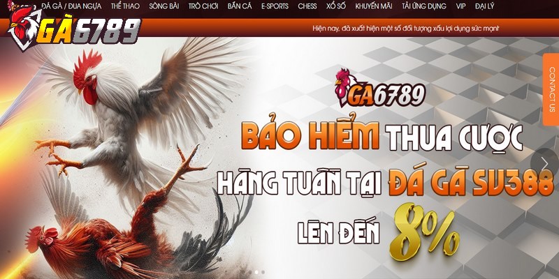 Đá gà GA6789 - Sảnh chọi kê uy tín, dễ chơi nhất 2025 1 Đá gà là chuyên mục chủ đạo làm nên tên tuổi của thương hiệu GA6789