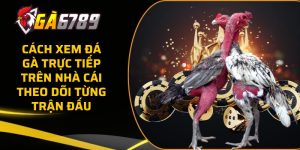 da ga truc tiep