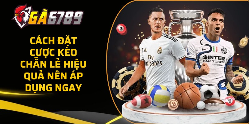 Cách đặt cược kèo chẵn lẻ hiệu quả nên áp dụng ngay 45 keo chan le