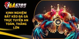 keo da ga truc tuyen