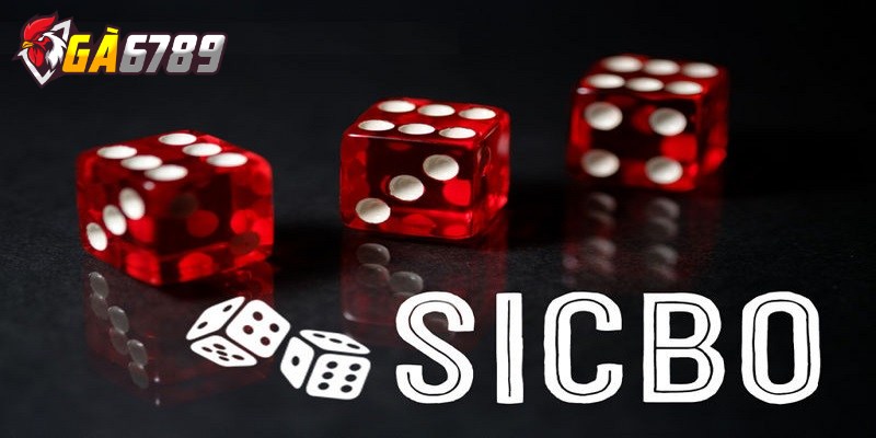 Hướng dẫn chơi sicbo online dễ hiểu, dễ áp dụng nhất 2025 2 Thành viên nên biết các loại cược trong trò chơi sicbo