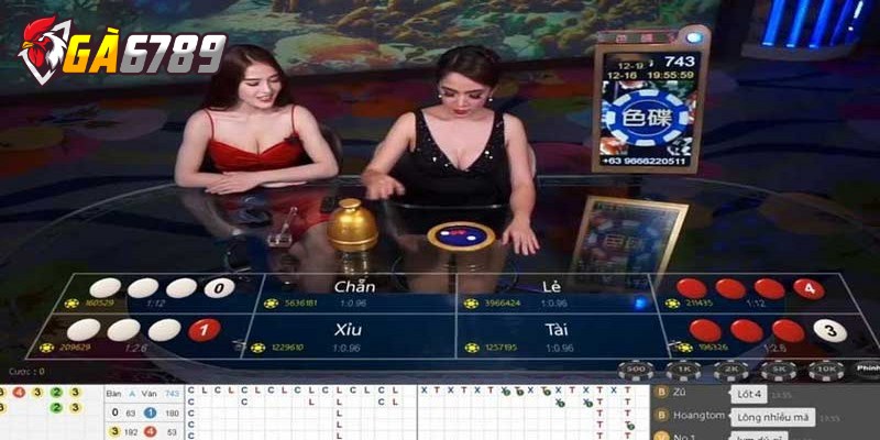 Hướng dẫn chơi xóc đĩa online hiệu quả cho bạn mới giải trí 3 Việc quan sát cầu xóc đĩa là chiến lược chơi hay nên áp dụng
